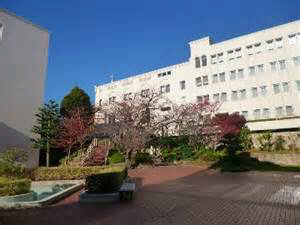 私立神戸海星女子学院大学まで1900m (徒歩24分) 写真24