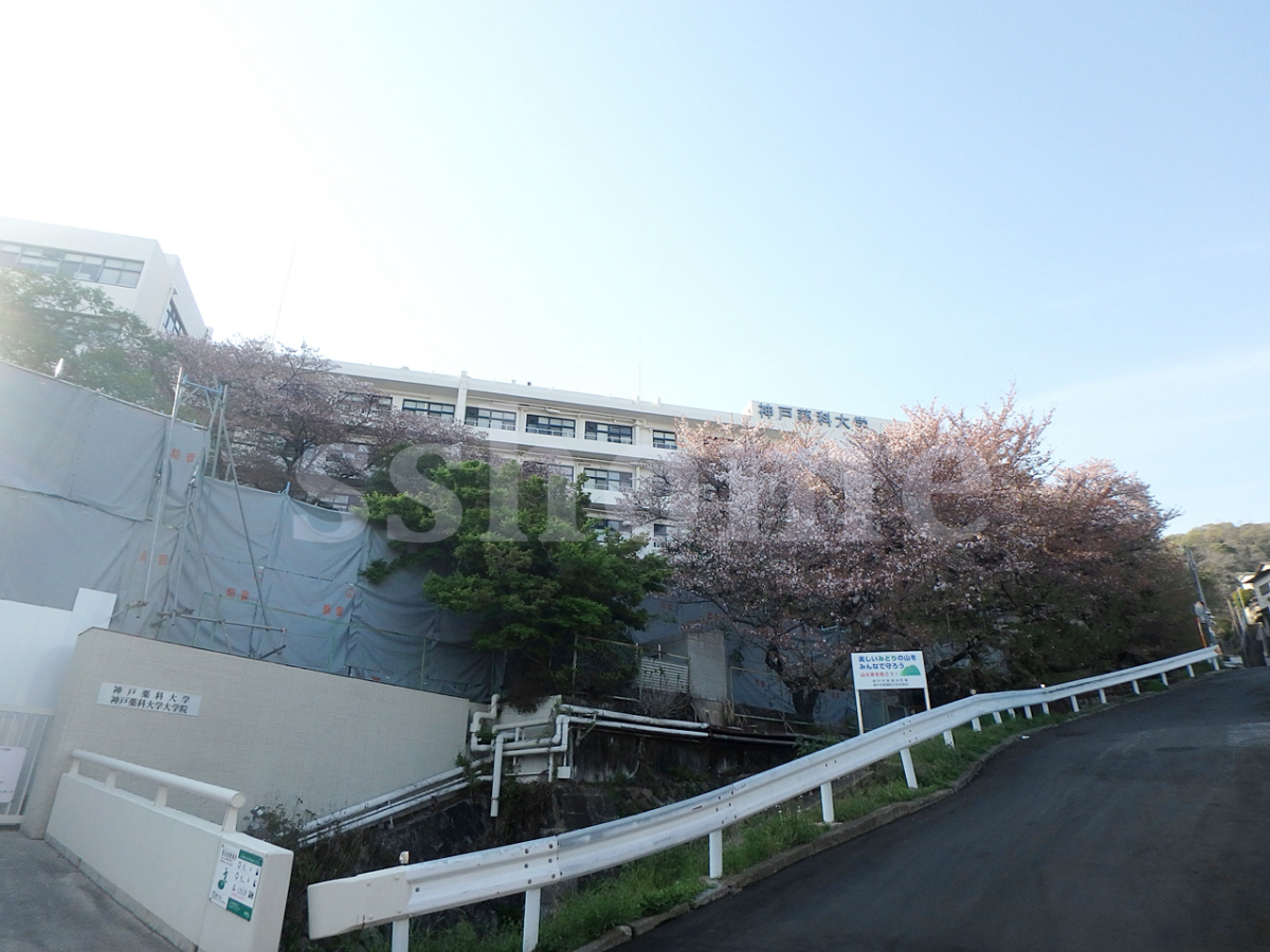私立神戸薬科大学 まで420m (徒歩6分) 写真24