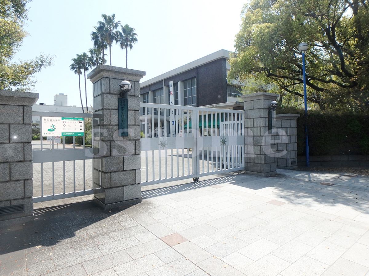 神戸大学深江キャンパスまで1025m (徒歩13分) 写真24