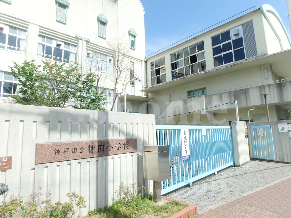 稗田小学校まで209m (徒歩3分) 写真21