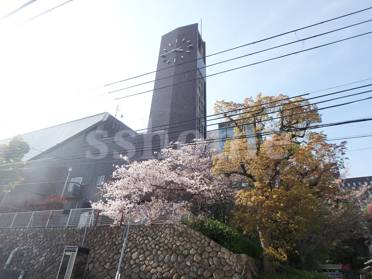 甲南大学 岡本キャンパスまで1295m (徒歩17分) 写真24