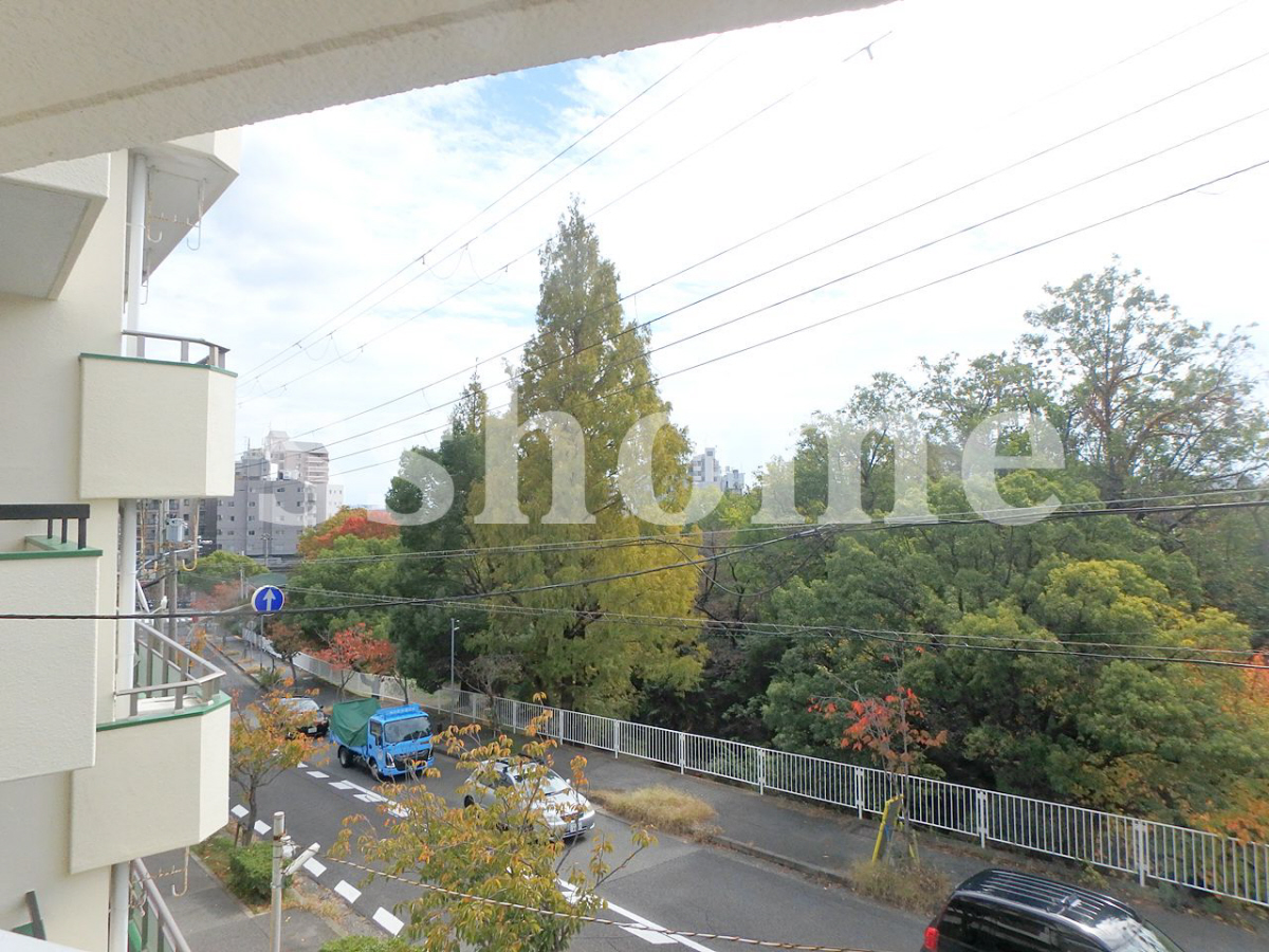 眺望 目の前に公園があります☆ 写真19