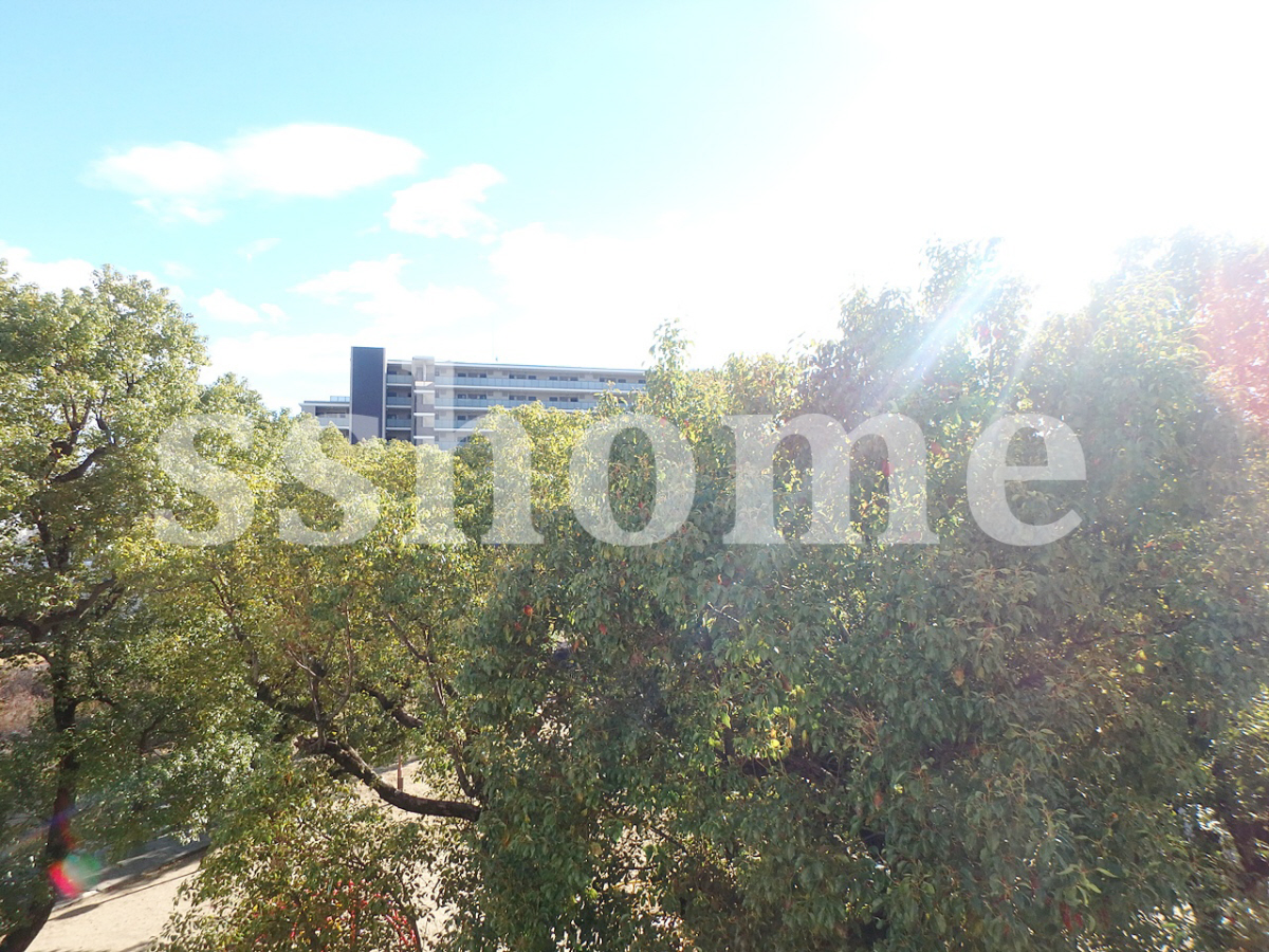 眺望 公園の木は目隠しになります☆ 写真19