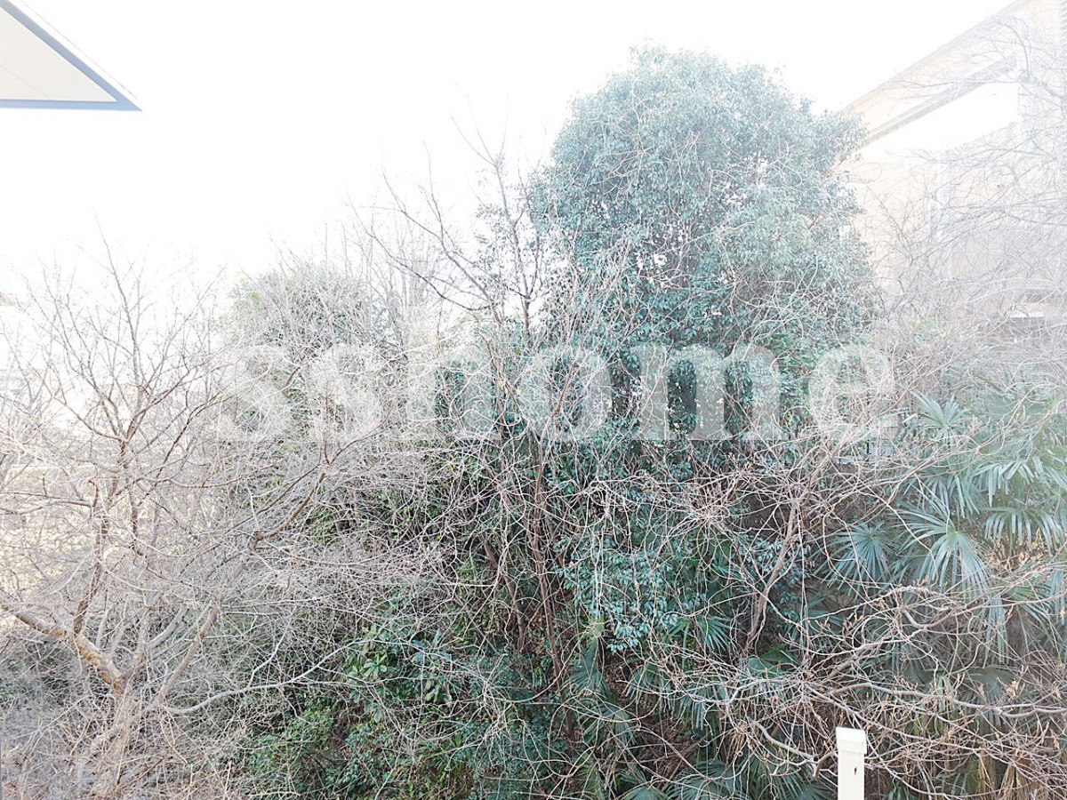 バルコニー・ベランダ 写真10