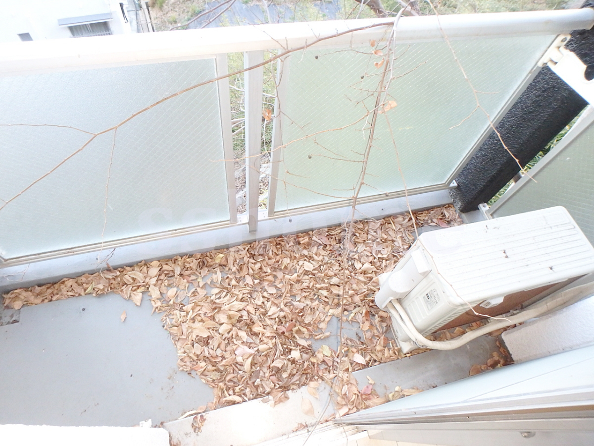 バルコニー・ベランダ 南向き 写真19