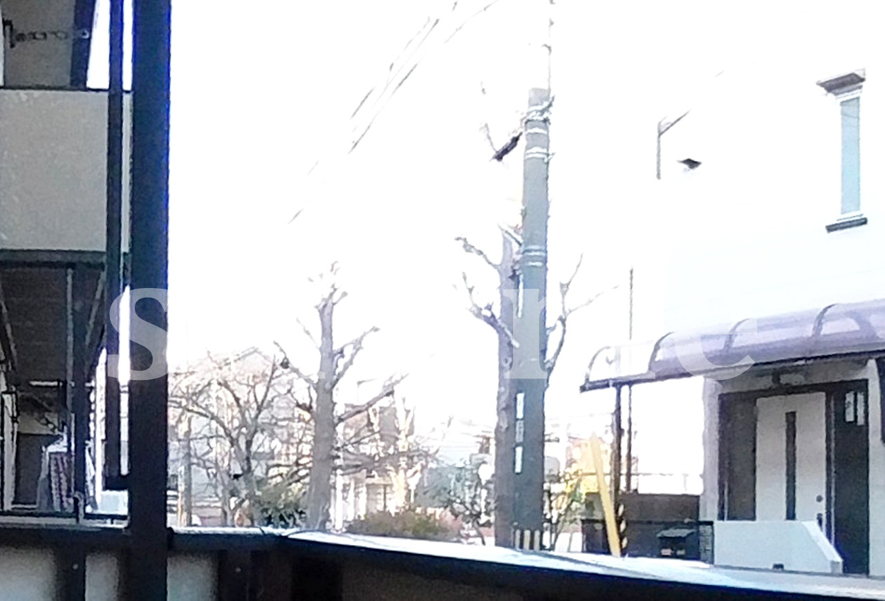 眺望 バルコニーからの景色☆ 写真10