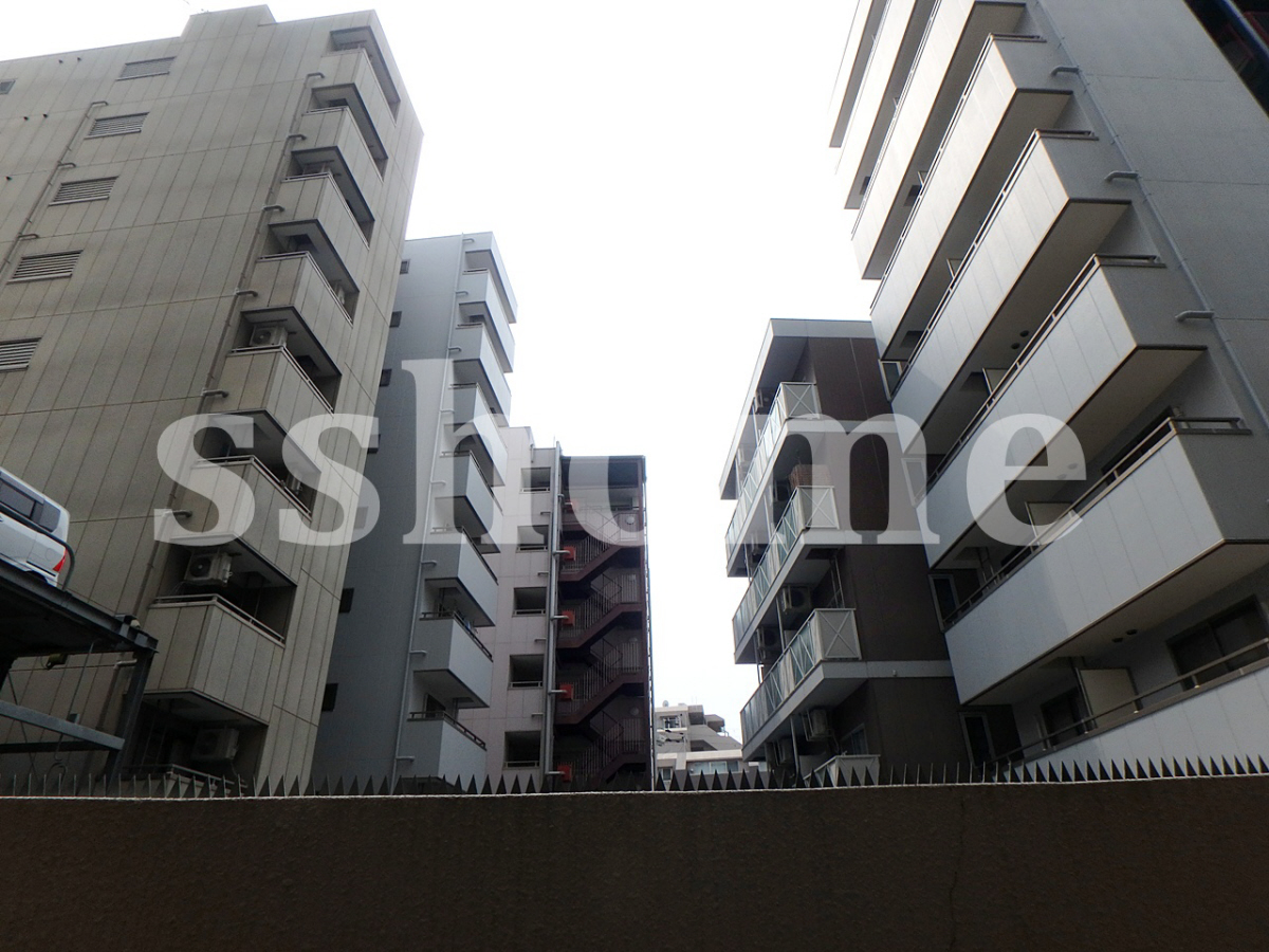 眺望 テラスからの景色 写真19