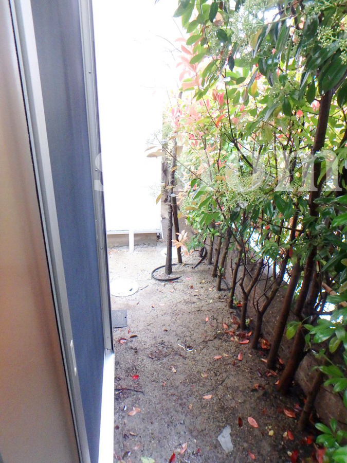 庭 緑あります 写真29