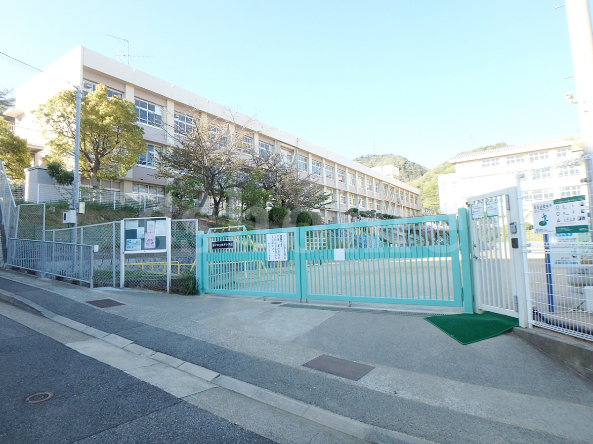 神戸市立鶴甲小学校まで331m (徒歩5分) 写真21