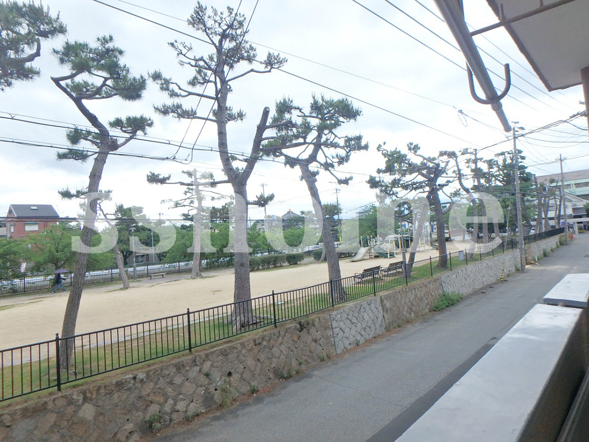 眺望 目の前に公園があります☆ 写真19