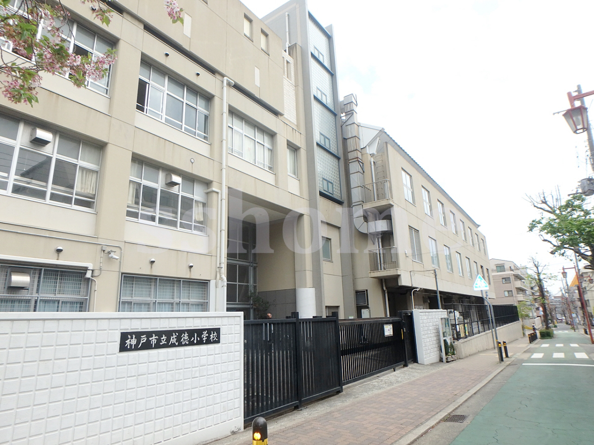 成徳小学校まで430m (徒歩6分) 写真21