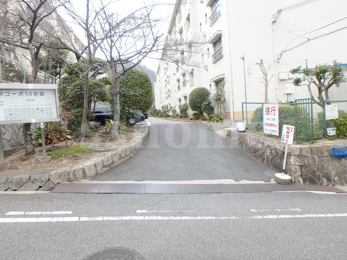エントランス 建物入口 写真13