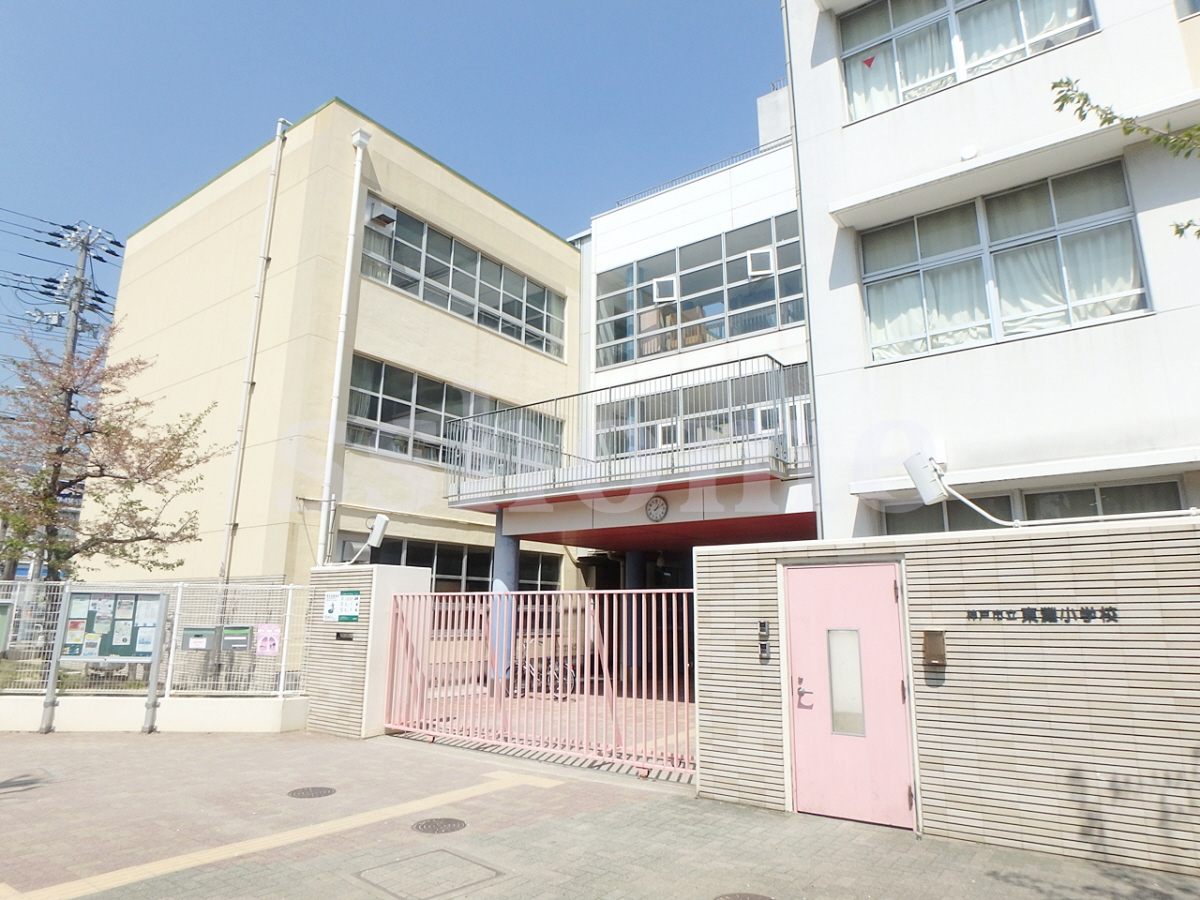 東灘小学校まで527m (徒歩7分) 写真21