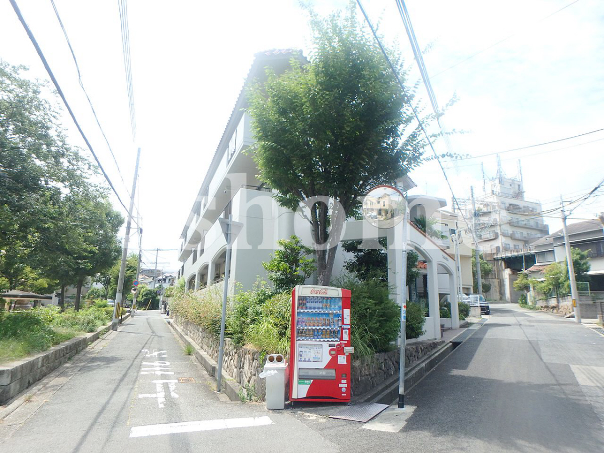 シャムロックⅡコート