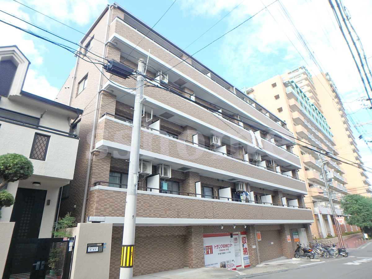 パルミナード弓木